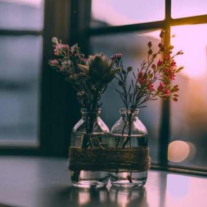 دانلود آهنگ تامر حسنی جامدین جامدین